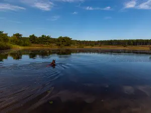 Hoge Kempen National Park