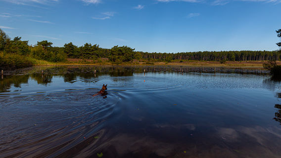 Hoge Kempen National Park