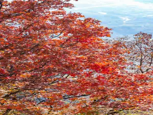 邯鄲古武当山