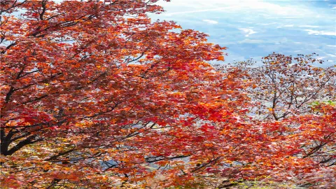 Hebei Ancient Wudang Mountain Scenic Spot attraction in Handan