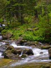 Gaoligongshan National Nature Reserve