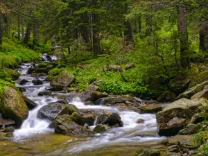 Gaoligongshan National Nature Reserve