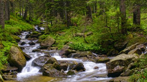 Guanmen Mountain National Forest Park