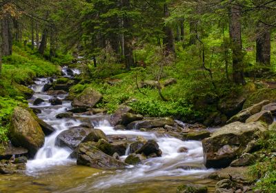 Gaoligongshan National Nature Reserve