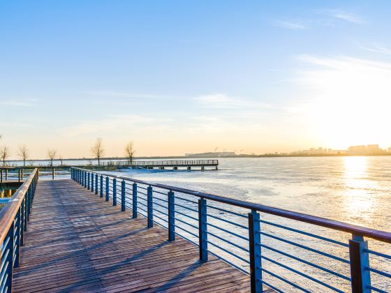 Yellow River Estuary Ecotourism Area