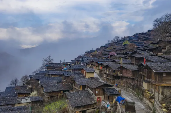 上海 飛 文山