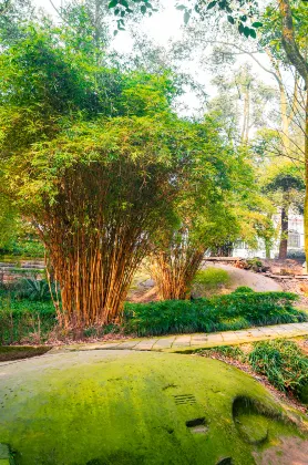 Отзывы об отеле Days Hotel By Wyndham Chongqing Keyuan