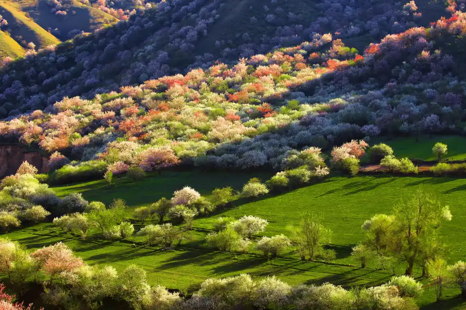 3_China Fushou Mountain Scenic Area