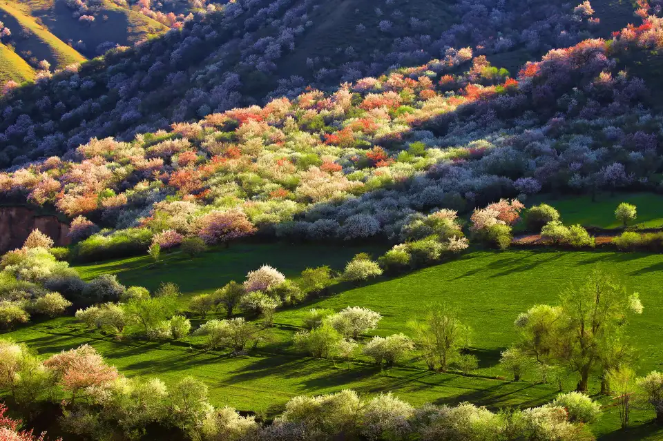 3_China Fushou Mountain Scenic Area