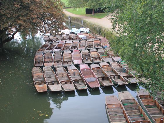 Oxford Botanic Garden