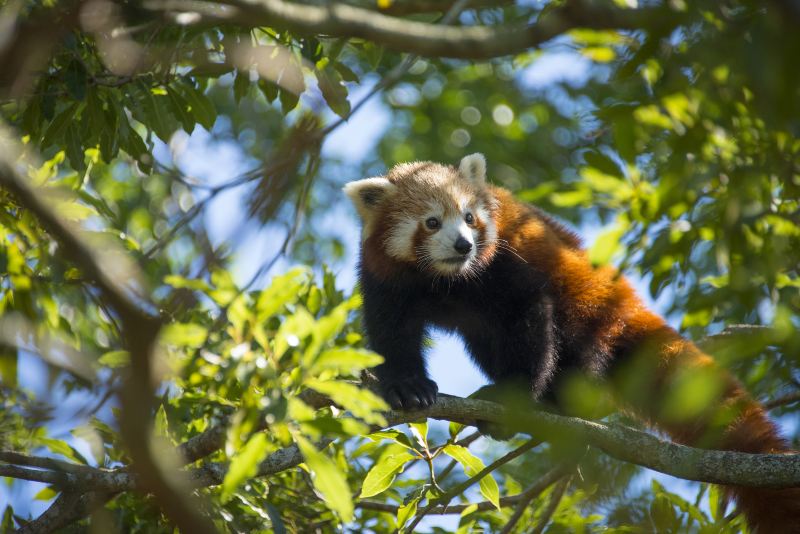 Yancheng Wild Animal World