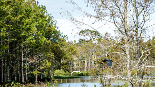 Qishuihe River Wetland Park