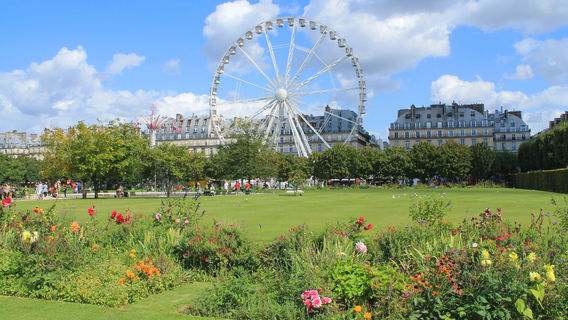 Tuileries Garden