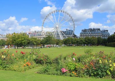 Tuileries Garden