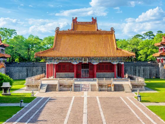 Shenyang Forest Wild Zoo