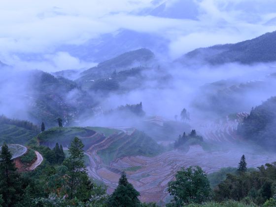 雲和梯田景區九曲雲環