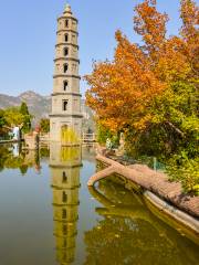 Wuyang River Scenic Area