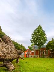 三元国家森林公園格氏栲景区