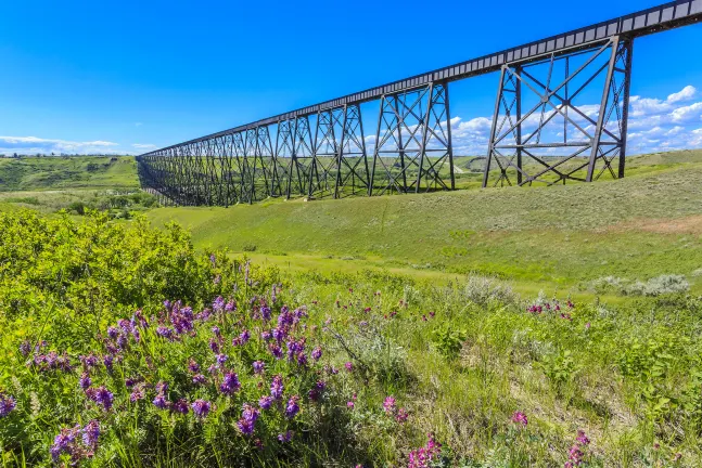 Flights to Lethbridge