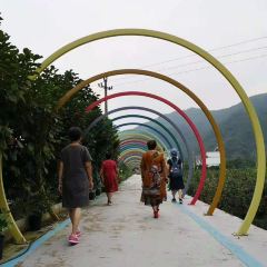 HOU AN CUN KE ZHI GU User Photo