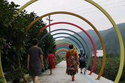 HOU AN CUN KE ZHI GU