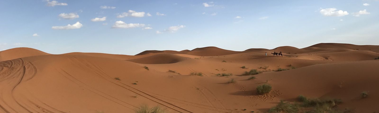 travel