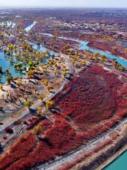 Tarim River