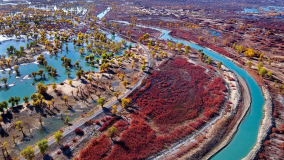 Tarim River