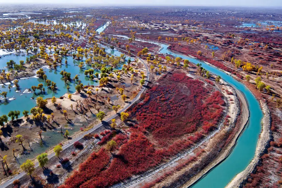 Tarim River