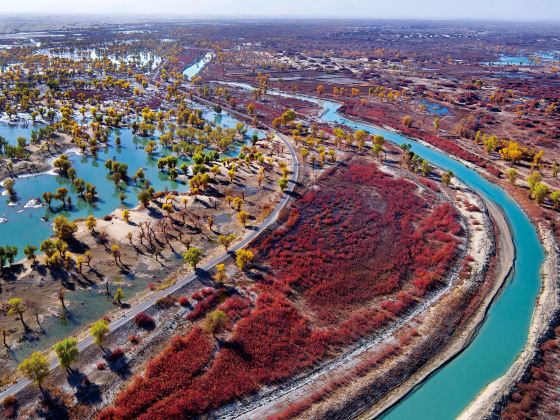 Tarim River