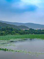 Taozi Lake