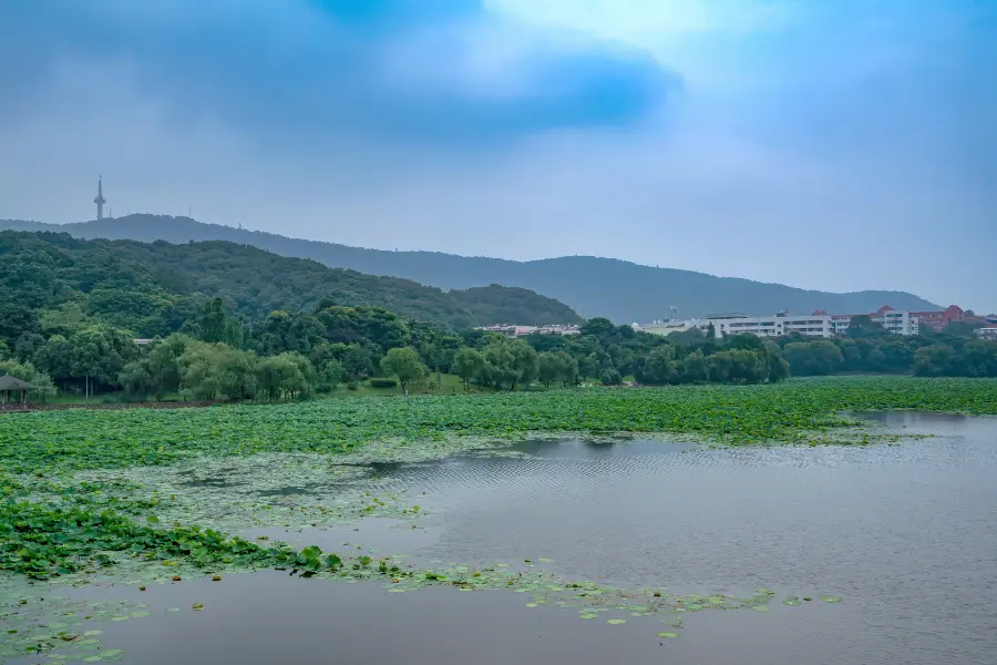 Taozi Lake