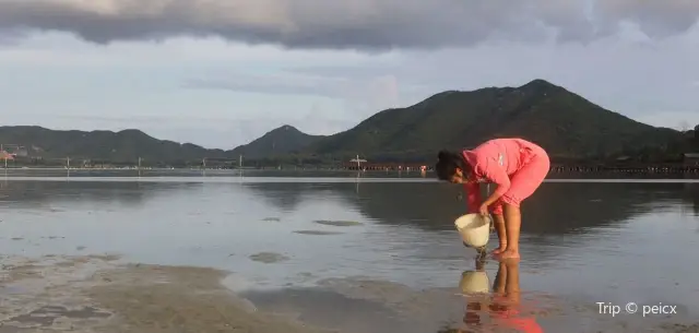 Beachcombing in Lingshui