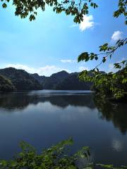 綏陽寬闊水原始森林