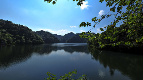 Suiyang Kuankuo Shui Yuanshi Forest