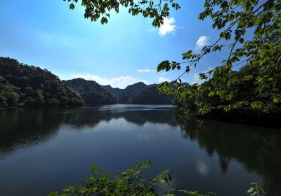 綏陽寬闊水原始森林