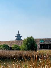 Yanghu Wetland Science Museum