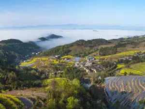 鳳堰古棚田