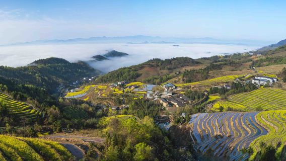 Fengyan Ancient Terraced Fields