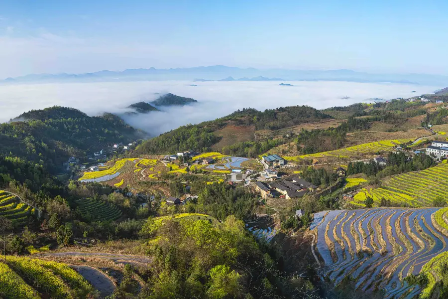 鳳堰古棚田