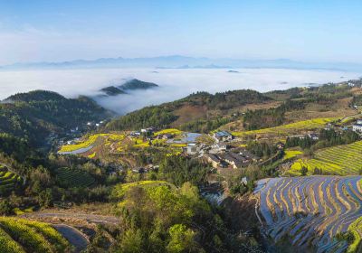 鳳堰古梯田