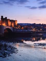 Conwy Castle