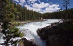 Sunwapta Falls