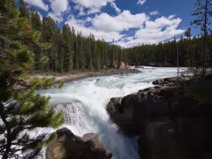 Sunwapta Falls