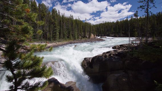 Sunwapta Falls