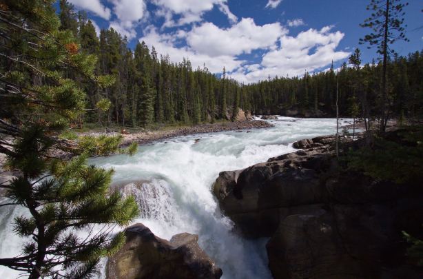 Sunwapta Falls