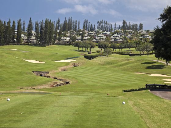 Kapalua Plantation Course