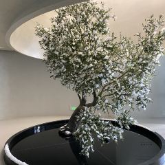 缦山·by oravida User Photo