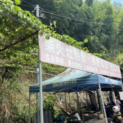老鄉村農莊張用戶圖片
