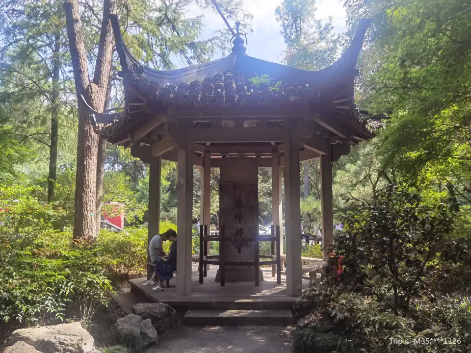 3_杭州植物園-雙峯插雲